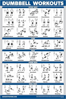Palace Learning Dumbbell Workout Exercise Poster - Free 18'' x 24'', Laminated