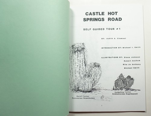 Castle Hot Springs Road Self Guided Tour #1 1989 Clement Arizona Plants History - Picture 2 of 6