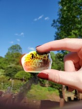 Holographic Gecko Sticker