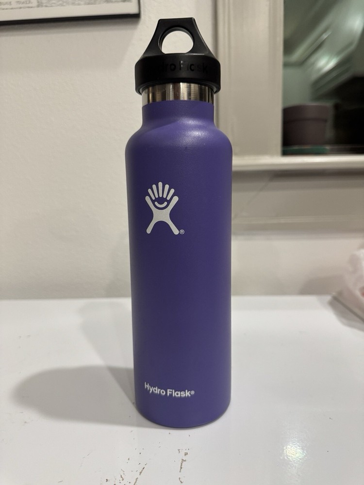 Hydro Flask 21oz Bottle In Plum