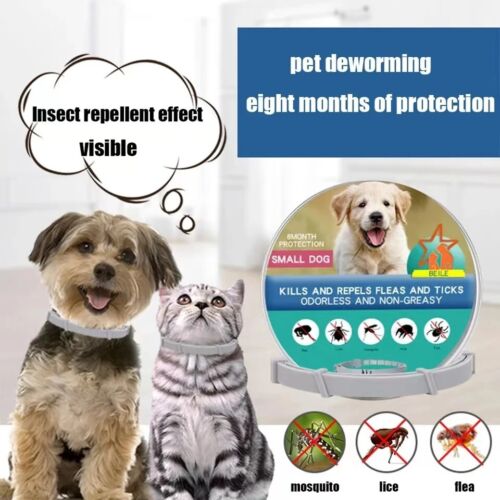 Cat Dog Flea And Tick Collar Adjustable 38/70CM 8 Months Protection Retractable - Picture 2 of 45