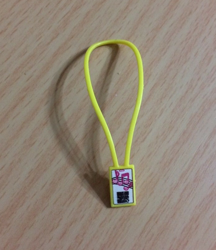 Necklace ? Accessory