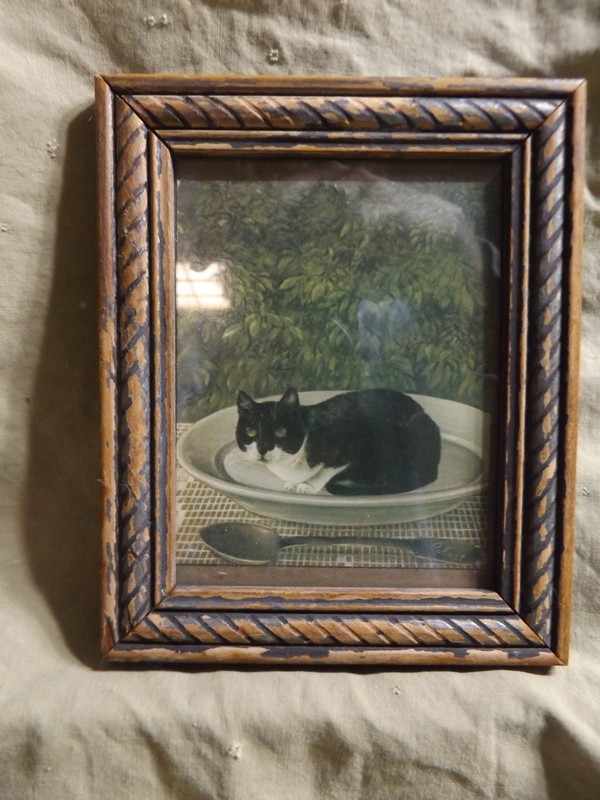 Miniature English Cat Print Card ~3.5x4.5" Vintage Frame 1930s? Distressed