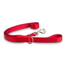 Good2Go Red Nylon Dog Leash, 1" Width, 4 ft.. By: Good2Go