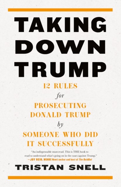 Taking Down Trump: 12 Rules for Prosecuting Donald Trump by Some - Image 4