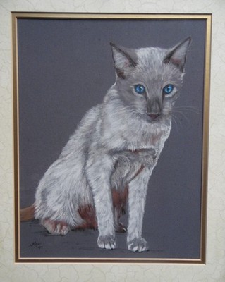 Portrait einer Siamkatze. Original Pastell Signiert Kay 99