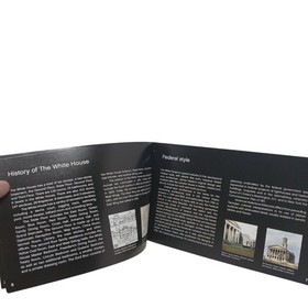 LEGO Architecture Instruction Booklets Big Ben, The White House MANUALS ONLY #H3