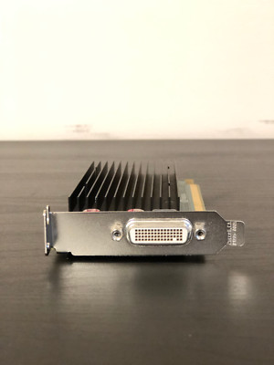 PNY NVIDIA Quadro NVS 300 (512 MB) (VCNVS300X16DVIPB