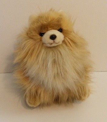 Worlds Cutest Dog Boo Best Friend Buddy Gund Puppy Plush Stuffed Pomeranian Ebay