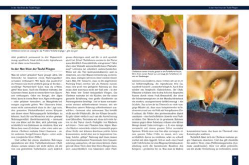 Thumbnail - Trojaner Meerwasseraquarium Daniel Knop