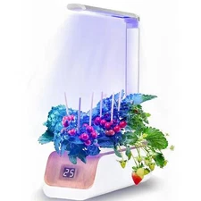Hydroponics Growing System
