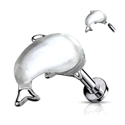 Ohrpiercing Labret Tragus Ohrstecker Wal Orca Delfin Fisch Weiß Transparent