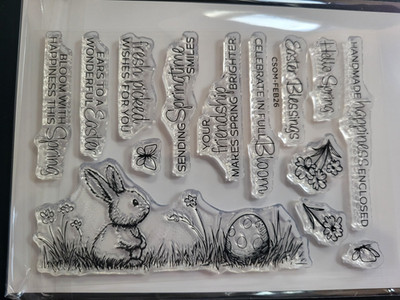 SPELLBINDERS Clear Stamp Die Set CSDOM-Feb26 Ears to Spring Easter Bunny Phrase