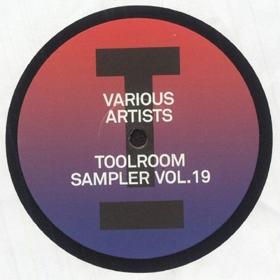 Various - Toolroom Sampler Vol. 19 (12'')
