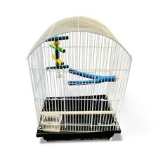 Small Sized Bird Cage with Perch, Food Dish, Wood Perch, Toy with Bell