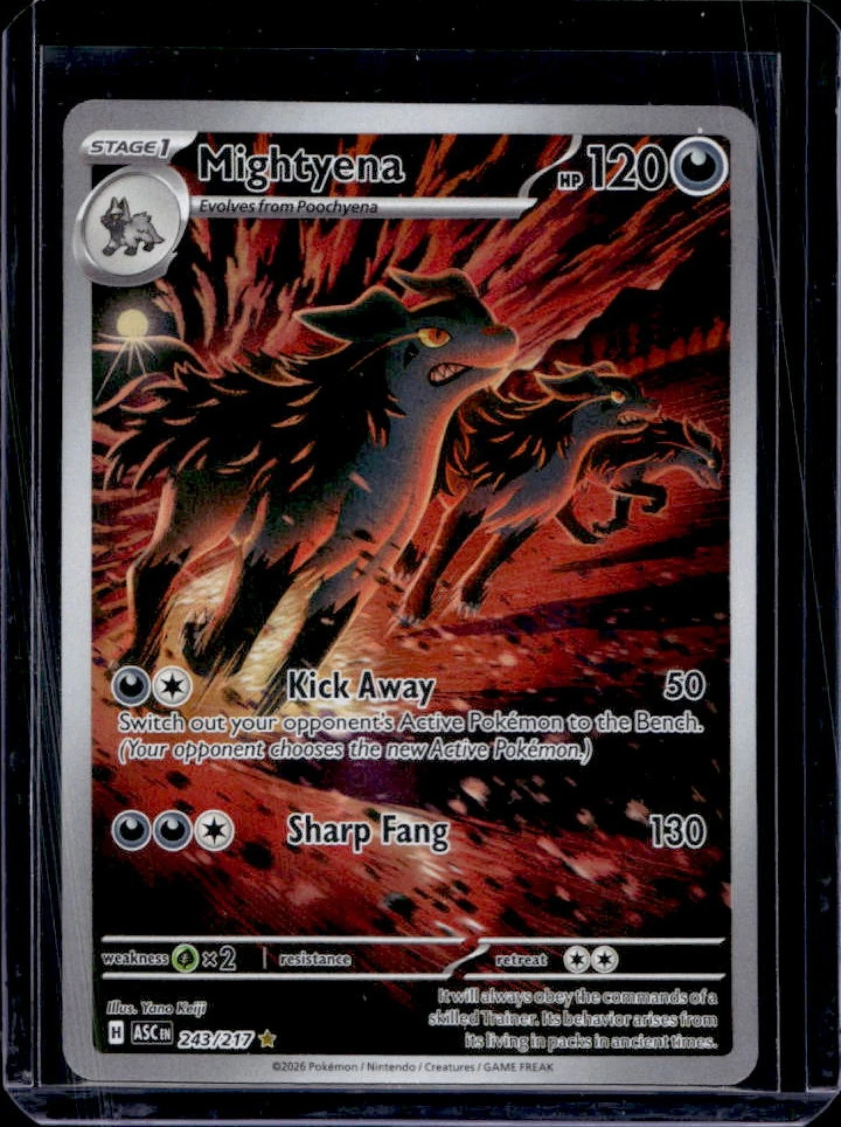 2026 Pokemon Ascended Heroes Mightyena Illustration Rare #243/217