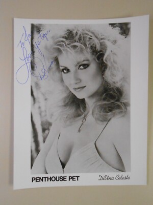 signed-black-and-white-photo-divina-celeste-penthouse-pet-1980s-ebay