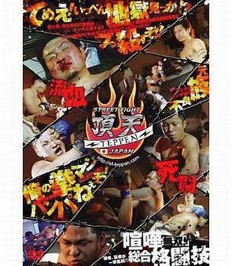 Street Fighter Vertex TEPPEN Japan DVD Kenichi Budokai