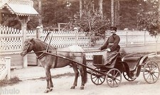 B427 Photographie vintage Originale Attelage cheval charrette Russian ? 1900