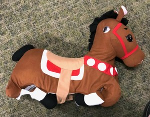 rock and bounce pony