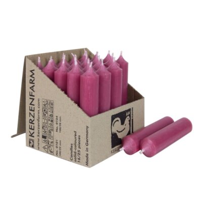 25 Stabkerzen Altrosa 100 x 22 mm Kerzenfarm Kerzen Candle