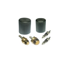 Santech Industries A/C System Valve Core and Cap Kit MT2905