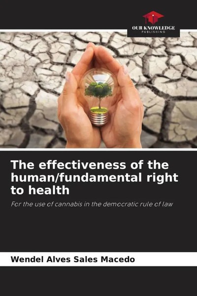 Wendel Alves Sales Macedo | The Effectiveness Of The Human/Fundamental Right...-image