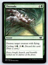 Thornado 184/254 Common Modern Horizons MTG