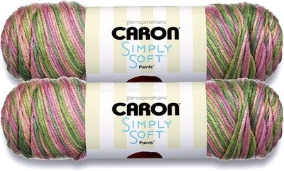 Caron Simply Soft Paints Yarn-Rose Garden