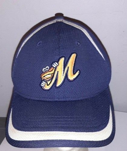 Montgomery Biscuits Minor League 