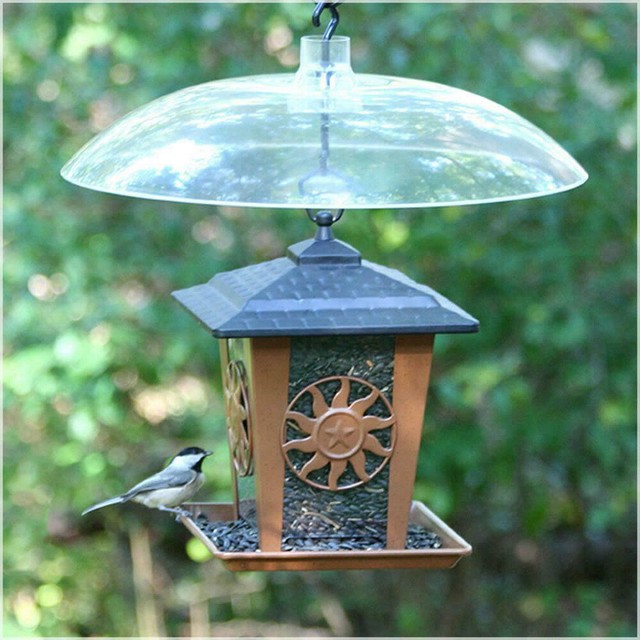 Squirrel Jackdaw Guard For Bird Feeder Sq008c For Sale Online
