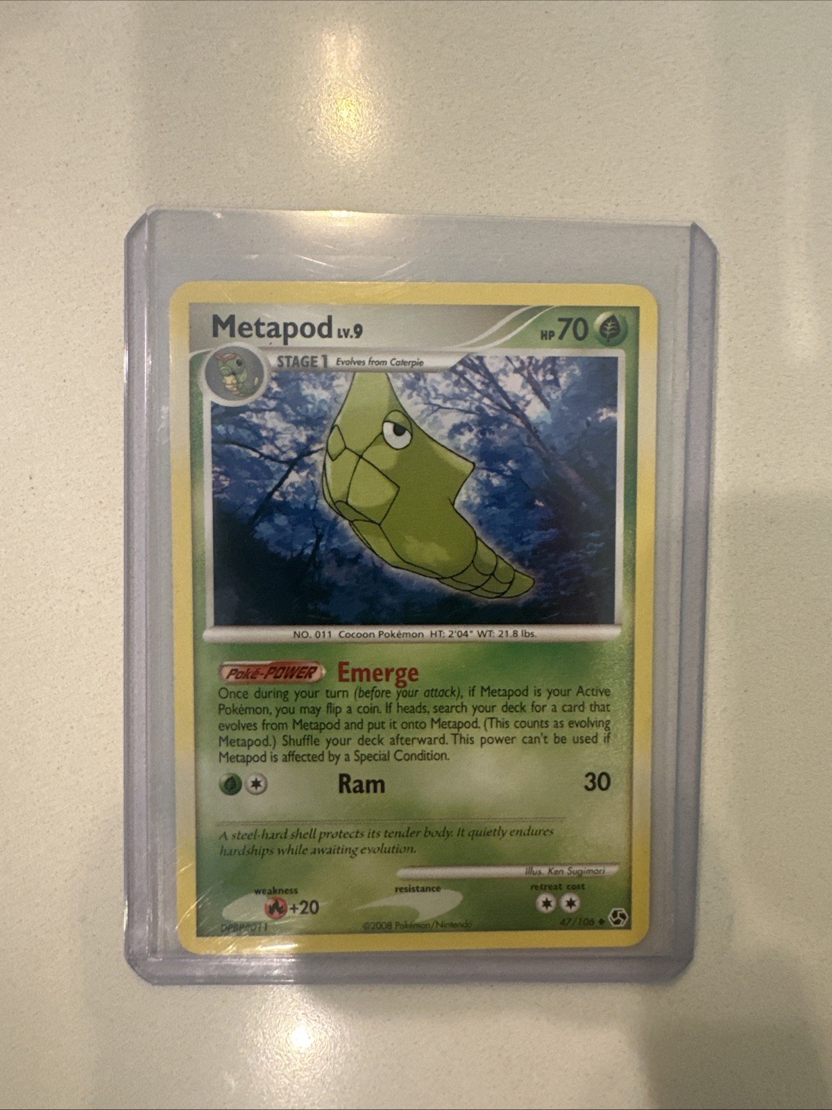 Metapod - 47/106 - Uncommon English Pokemon