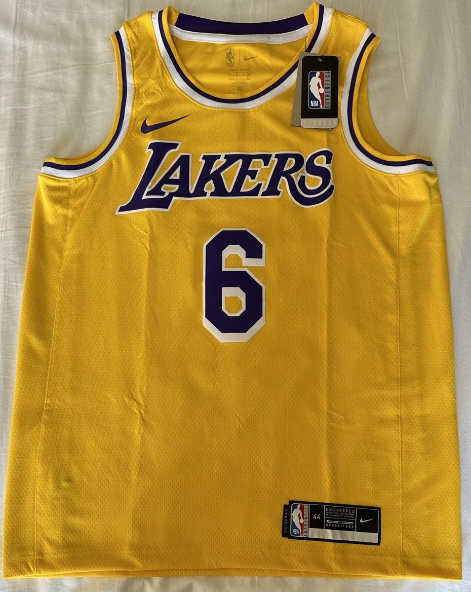 Nike NBA Los Angeles Lakers Lebron James #6 Basketball Jersey