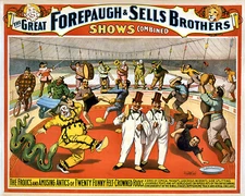 Forepaugh Sells Bros 1899c Fools Circus  Poster Print  17 x 11  Giclee Print