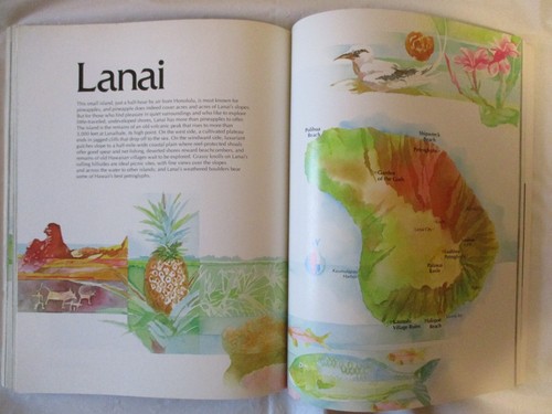 Beautiful Hawaii A Sunset Pictorial Soft Cover 1985 David E. Clark Editor - Picture 12 of 13