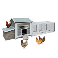 Wooden Chicken Coop w/ Free-Range Doors- Outdoor Hen House w/ Nesting Box & Tray