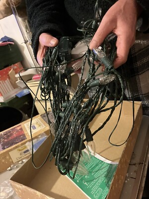 40 klare Jagdleuchten 