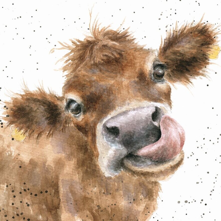 Cow Blank Birthday Greeting Card – Wrendale Designs The Country Set Moo Design