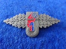 A11-10) Original  Feuerwehr Ehrenzeichen Deutsche-Jugendspange