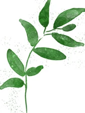 Green Leaves Speckle Wall Art Print Framed 12x16