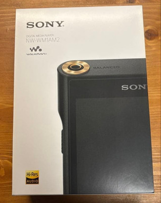 Sony Walkman NW-WM1AM2 Hi-Res Digital Audio Player Tested Box Used Japan F/S