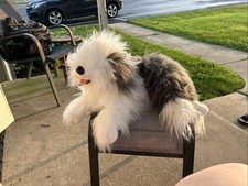 Animal Alley English Sheepdog Shaggy Plush Dog Toys R Us Realistic 28