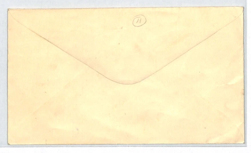 Cubierta FIJI KGVI *SABETO* CDS 1954 Suva Boy Scouts Commissioner {samwells}XC387 Foto 4 de 4