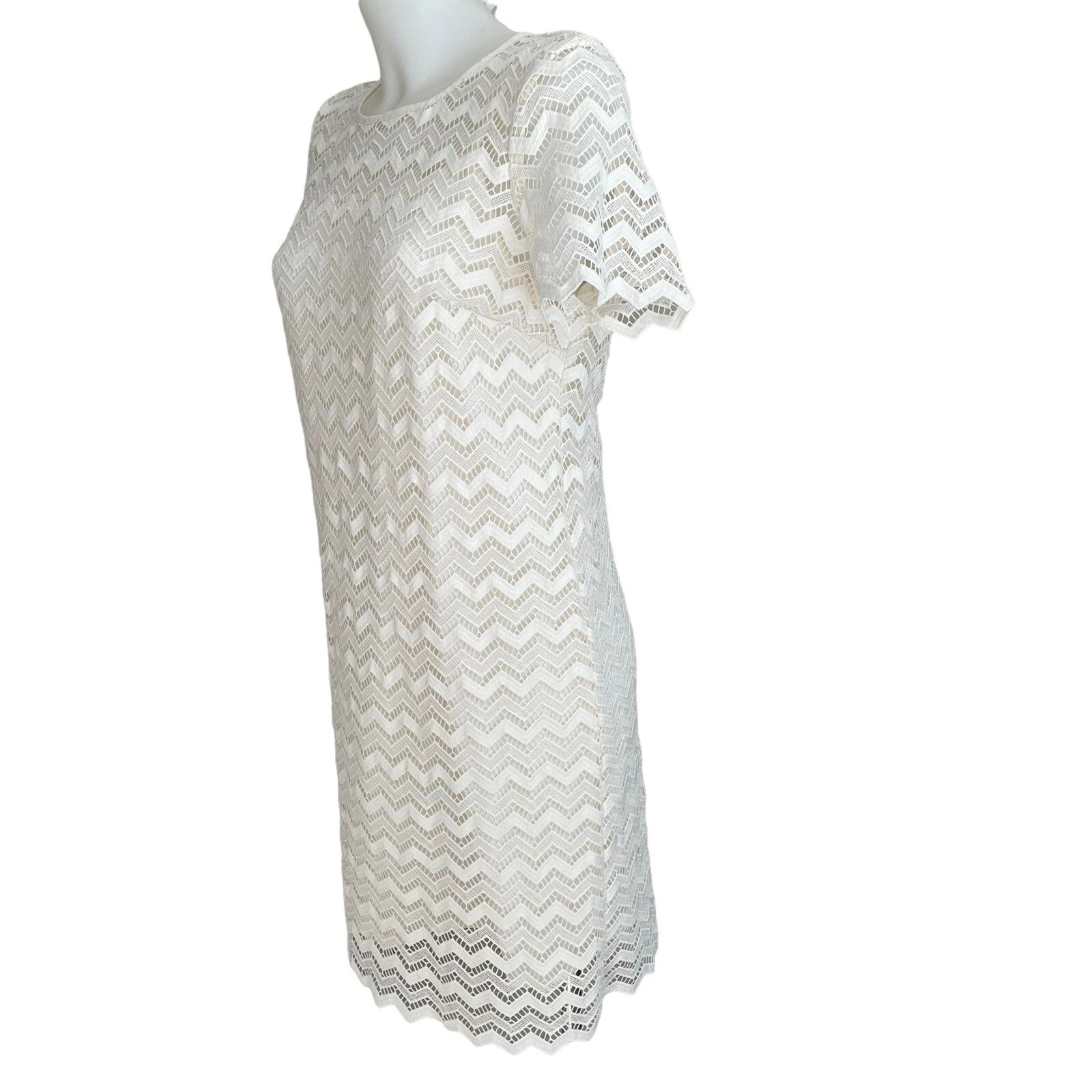 OFF WHITE ANN TAYLOR Off White Pizzo Chevron Tubino Mini Abito Manica Corta Donna Taglia 6