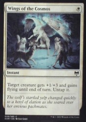 Wings of the Cosmos #39 Common Kaldheim Magic: The Gathering