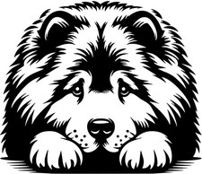 CHOW CHOW Aufkleber - Autoaufkleber - sticker - Chow Chow Kopf #43