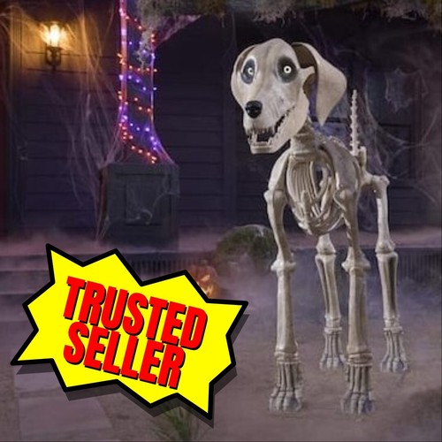 7 FOOT Skeleton Dog Skelly's Home Accent Halloween 2024 Home Depot