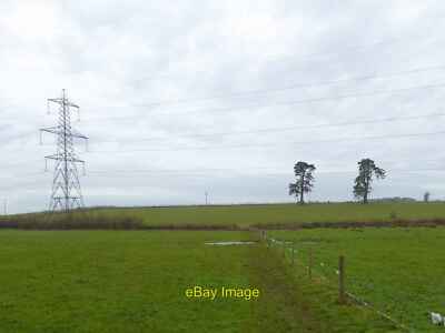 Foto 12x8 Pylon und Wellingtonia Bäume bei Broadclyst The Trees (Mammutbaum c2014