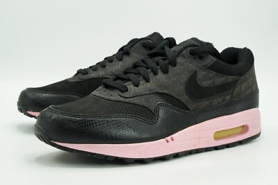 air max 1 morning glory