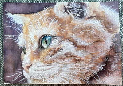 #ad #ad ACEO ORIGINAL Cat “Ginger Tom” Artist Kev Vardy 2025 Watercolor $20.00